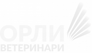 Орли Ветеринари